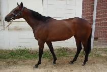 ��ƼǮ���� (BEAUTIFUL NAMHAE) ����