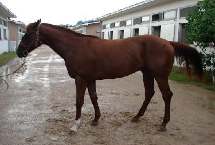 ����ī���� ����