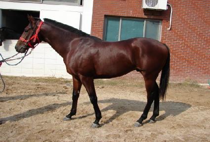 ���ο����� ����