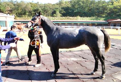 ��Ǫ���� ����