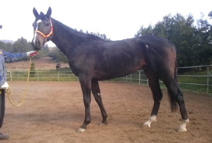 ���̽��帮�� ����