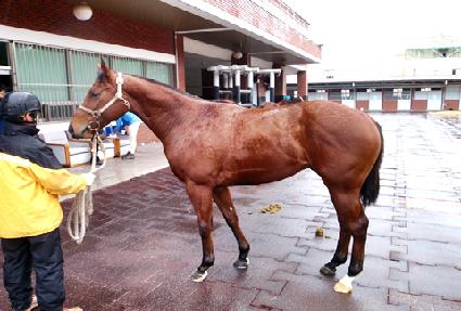 �Ľ��ִϾ� ����