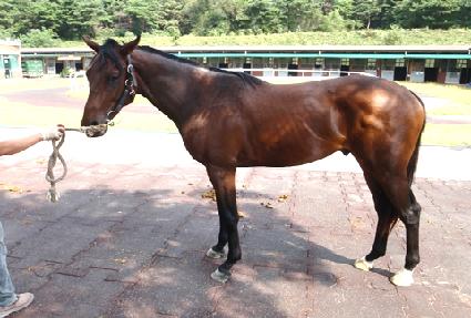 �����ǵ� ����