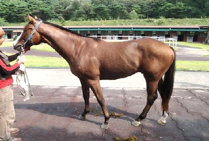 ��ũ�Ƿ� ����