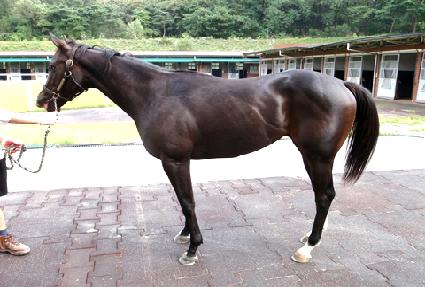 õ�պ� ����