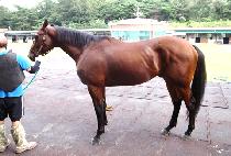 õ�ϴ�� (CHEONHA DAESEUNG) ����