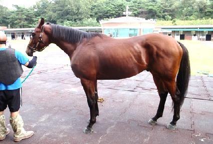 õ�ϴ�� ����