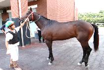 �ݵ��� (GEUMDEONGI) ����