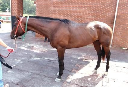 �¼��� ����