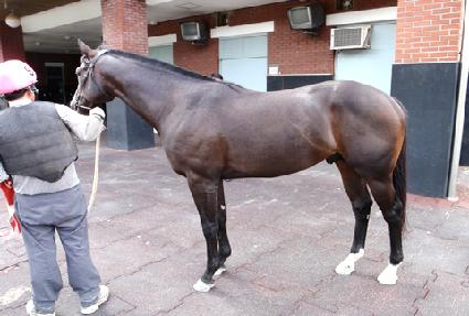 ��ũ����Ʈ ����