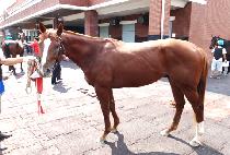 �Ŀ��뽬 (POWER DASH) ����