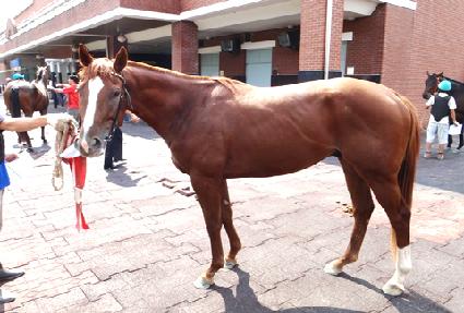 �Ŀ��뽬 ����