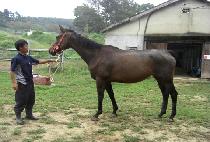 MOUNT OLIVE ����