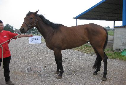 �ϳ� ����