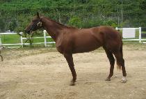 �ູ���� (HAENGBOK EUTTEUM) ����