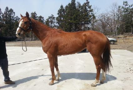 �����ǼŽ��� ����