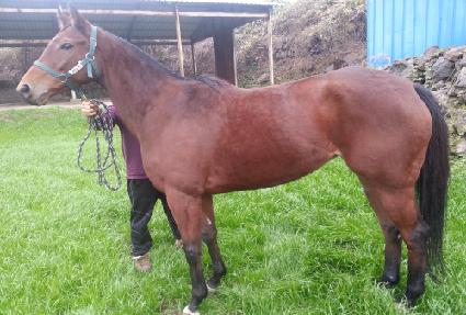 �ܿ�ٴ� ����