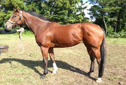 ����Ϳ� ����