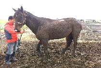 �������� (NURI YEOJE) ����