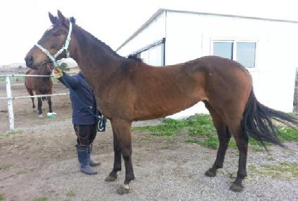 ŵ�ν��ھ� ����