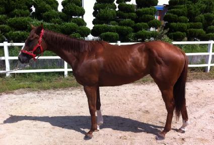 �����Ǿ��� ����