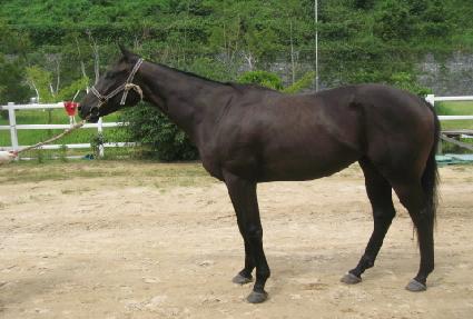 ����Ƽ���佺Ƽ�� ����