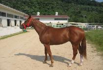 ���ʺ����� (WANA BE CHARLIE) ����