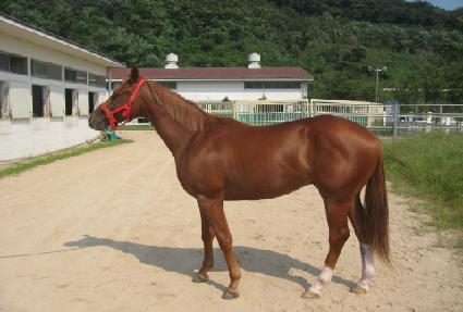 ���ʺ����� ����