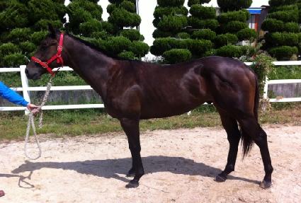 ������ ����