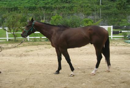 ���ͷ�����Ƽ ����