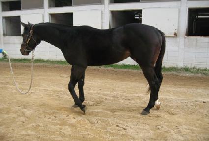 �۸����÷��̽� ����