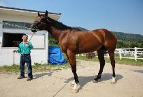 �齺���� (TOP SPRING) ����