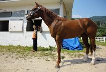 �ټ�ŷ (DASOL KING) ����