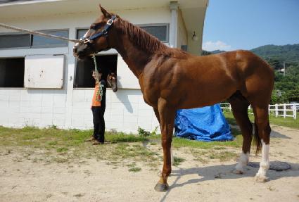 �ټ�ŷ ����