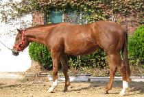 ����Ʈ�� (RIGHT TURN) ����