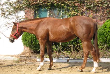 ����Ʈ�� ����