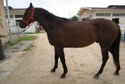 �ݺ�õ�� ����