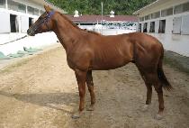 ������� (YEONGUNGDAERO) ����