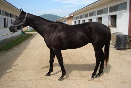 �������� ����