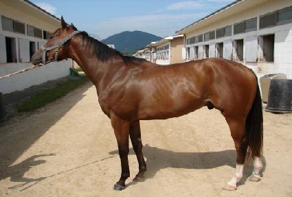 �����̵麸���� ����