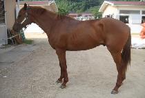 ��������� (MARINA��S BOY) ����