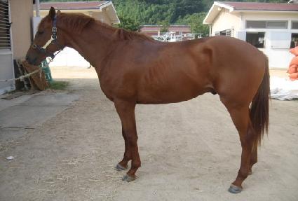 ��������� ����