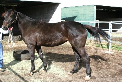 �ϵ�̼� ����