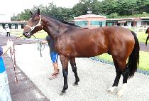 ������� (TWO THUMBS UP) ����