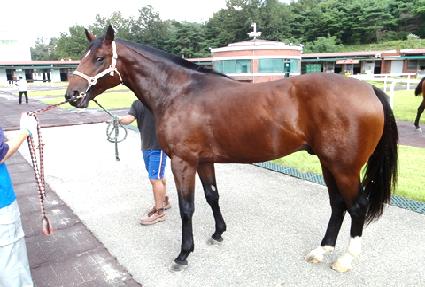 ������� ����