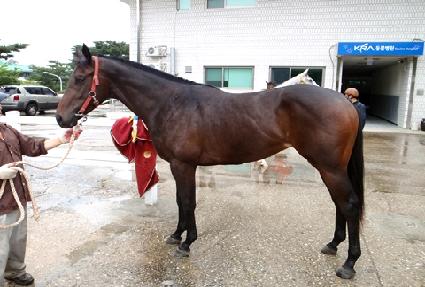 ��Ʈ�հ��� ����