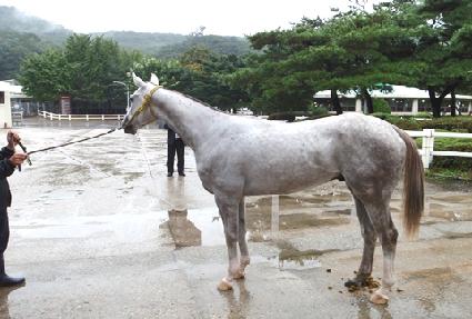 ����Ʈ������ ����