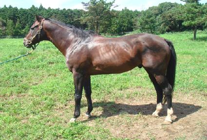 ����Ʈ���� ����