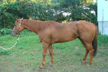 ���̾����� ����