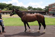 ����ƼƯ�� (SMARTY TEUKGEUP) ����